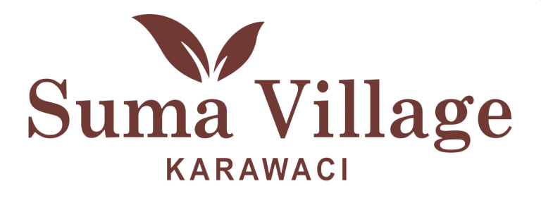 Logo-Summa-Village